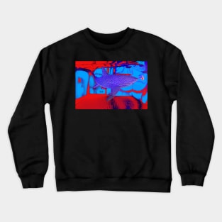 Hai / Swiss Artwork Photography Crewneck Sweatshirt